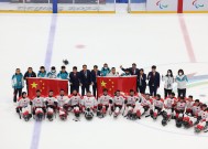 今年会网页版入口-包含北京队再获胜利，气势如虹一路高歌的词条